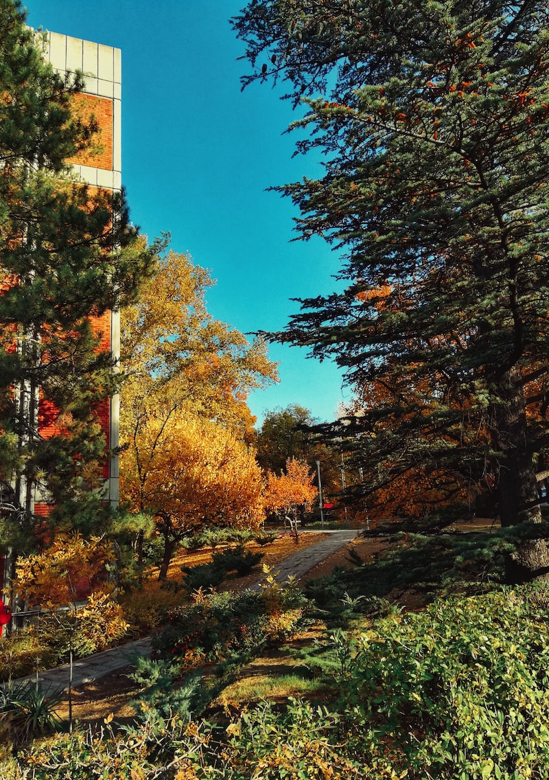Merkür'ün Güneş Rüzgarı Plazmasının Etkisi Merkür'ün Güneş Rüzgarı Plazmasının Etkisi