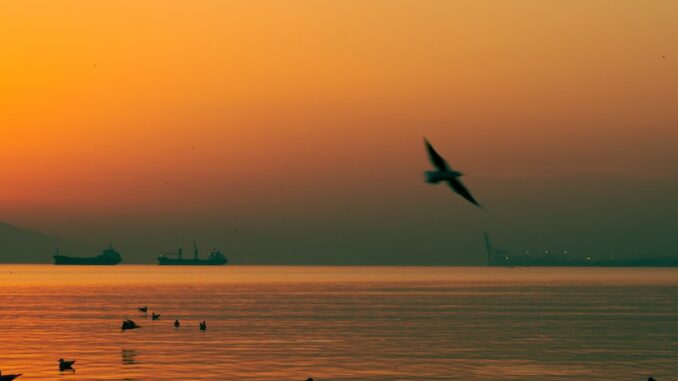 uploaded-image-merkurun-gunes-ruzgarlari-ve-manyetik-firtinalari-1698143083742