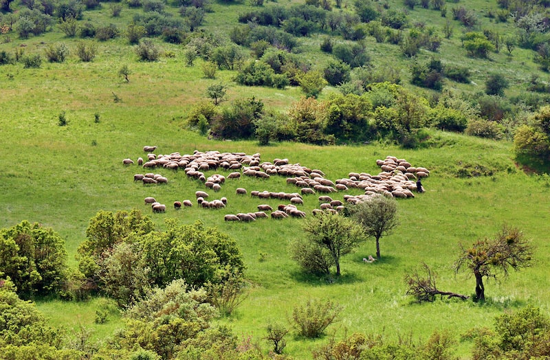 Merkür'ün Güneş Tutulmalarının Bilimsel Anlamı Merkür'ün Güneş Tutulmalarının Bilimsel Anlamı